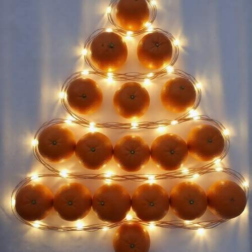 Photo #13164893