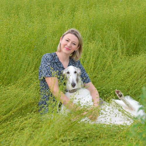 Photo #13164898