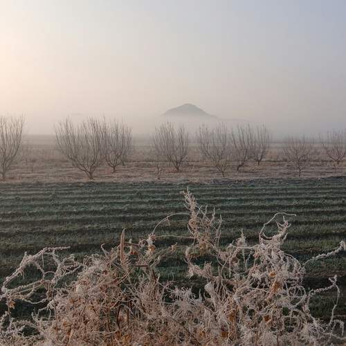 Photo #13164952