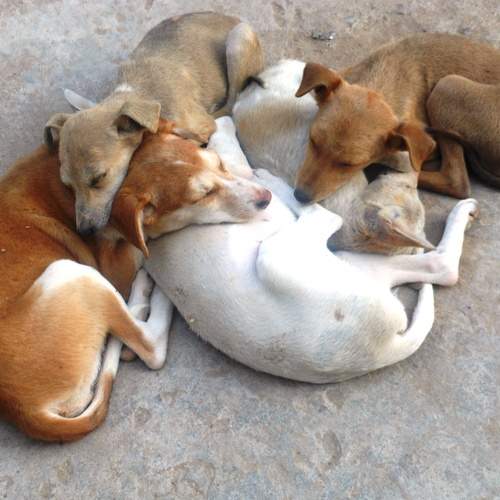 Photo #13164979
