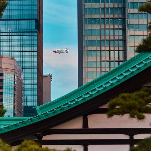 Фотография #13164993