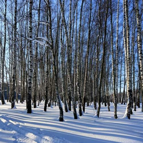 Фотография #13165022