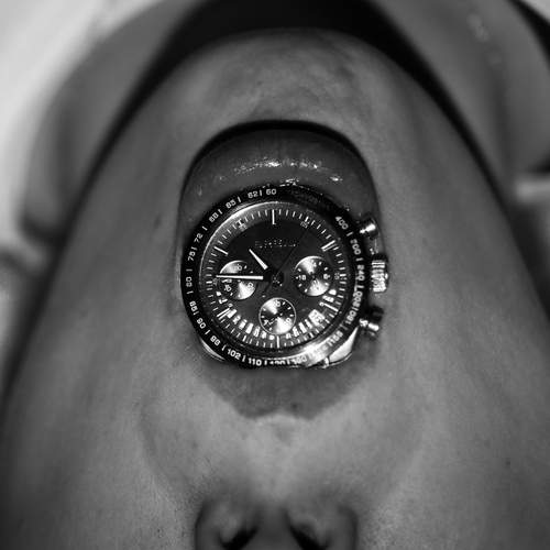Photo #13165027