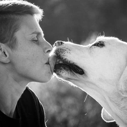 Photo #13165052