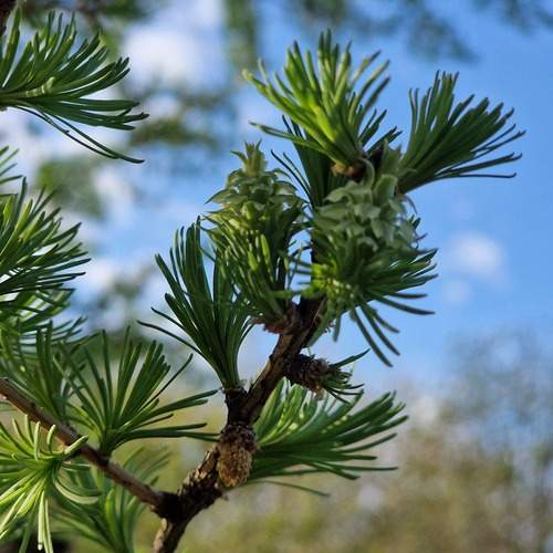 Photo #13165056