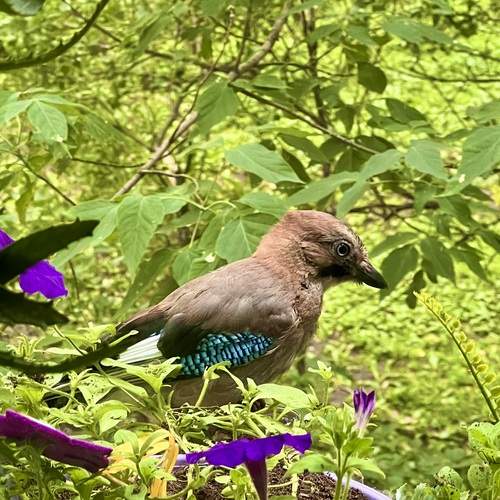 Фотография #13165092