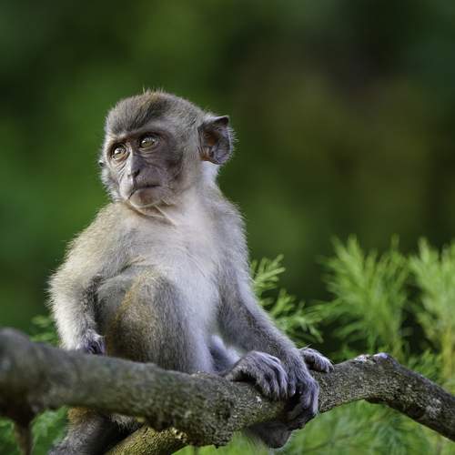 study of environment