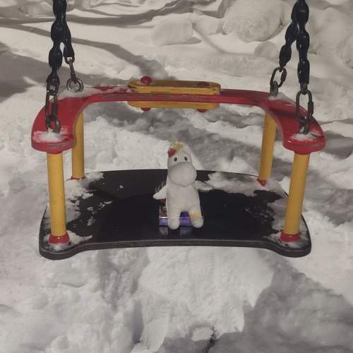 Photo #13165173
