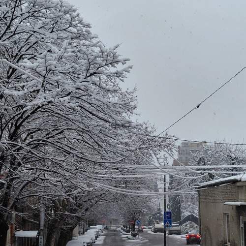 Photo #13165175