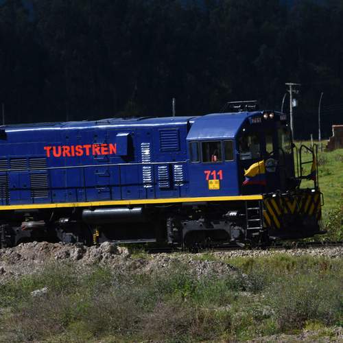 Фотография #13165207