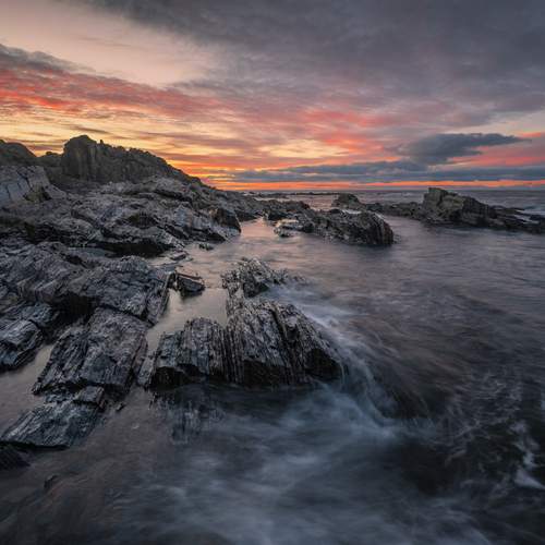 Photo #13165445