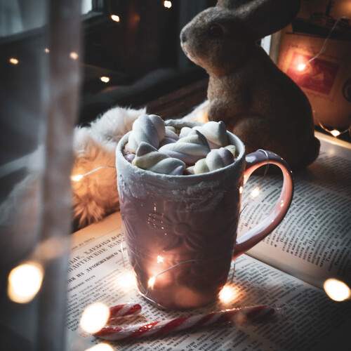 Photo #13165456