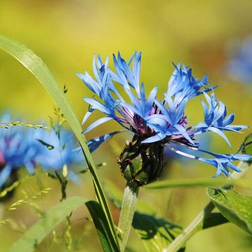 Photo #13165582