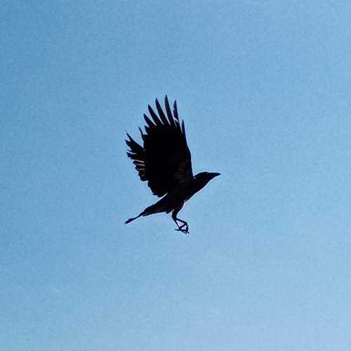 Photo #13165634