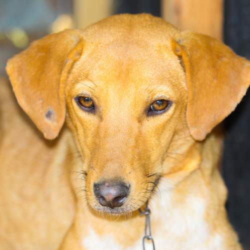 Photo #13165733