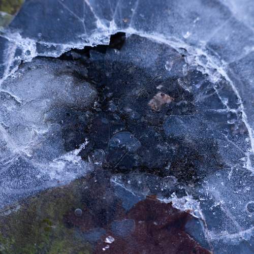 Photo #13165749