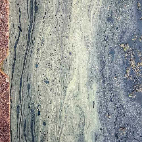 Photo #13165817