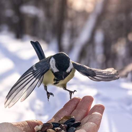 Photo #13165883