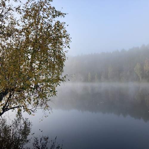 Photo #13165894