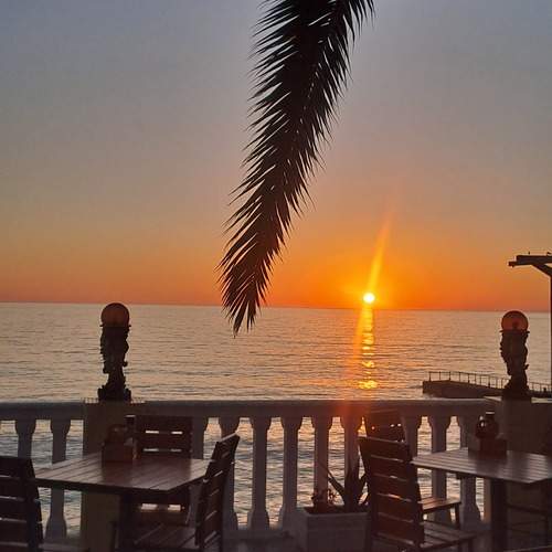 Фотография #13166169