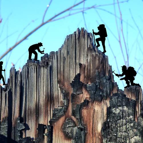 Photo #13166236