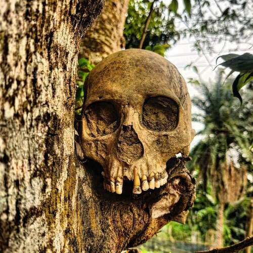 Photo #13166499