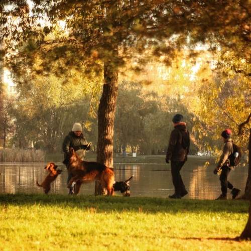 Photo #13166516