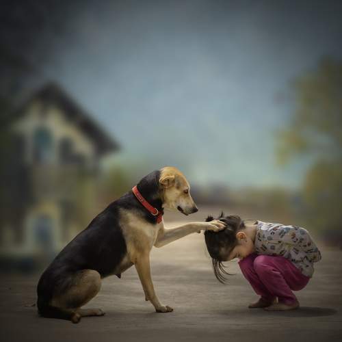 Photo #13166870