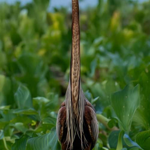 Фотография #13166908