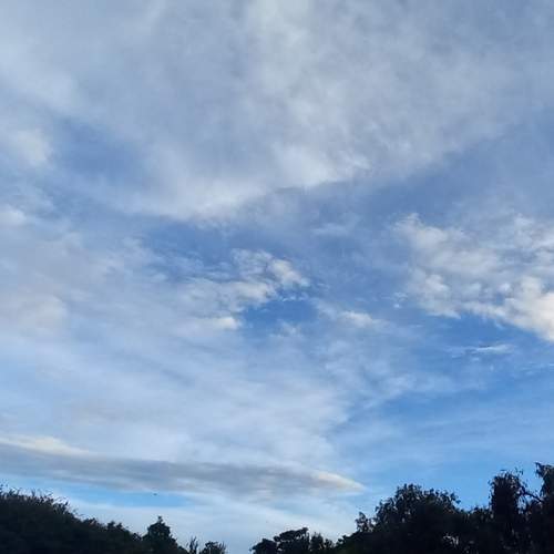 \"Celestial Rhythm\"