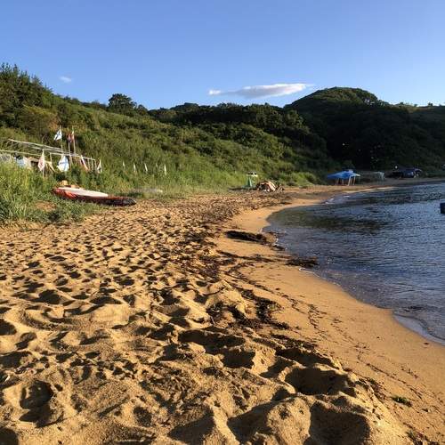 Photo #13167115
