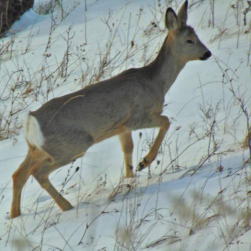 Photo #13167197