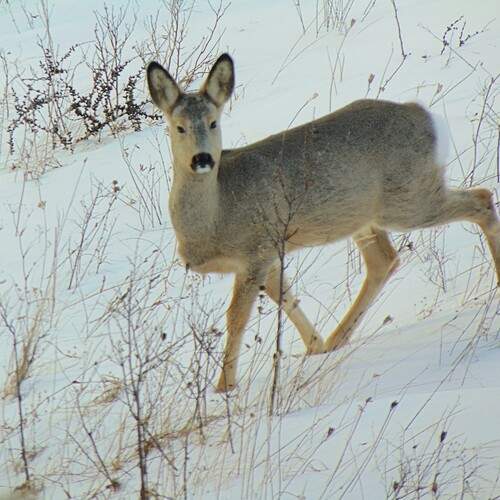 Photo #13167198