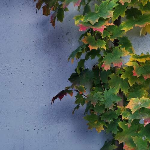 Photo #13167299