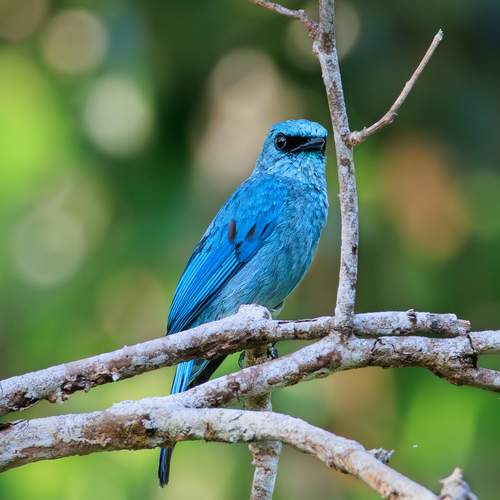 Фотография #13167323