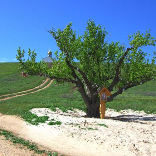 Photo #13167465