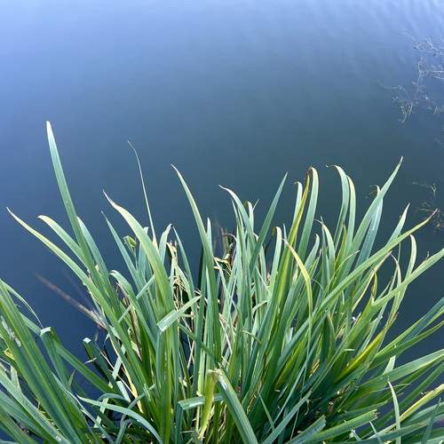 Фотография #13167467