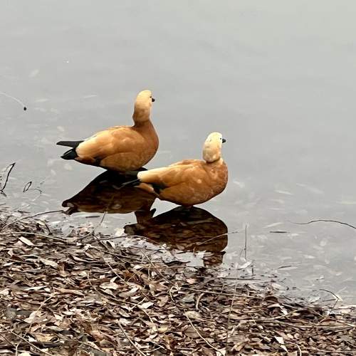 Фотография #13167474