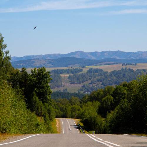 Photo #13167551