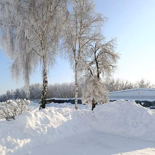 Photo #13167661