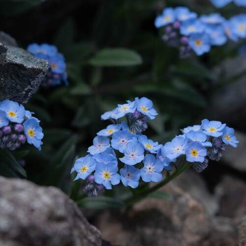 Photo #13167702
