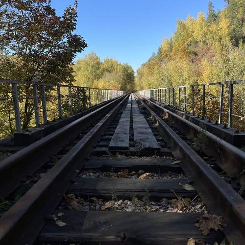 Photo #13167775