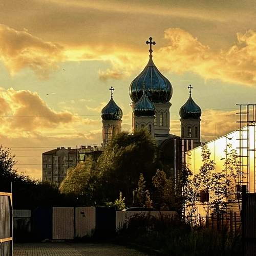 В лучах закатного солнца☀️