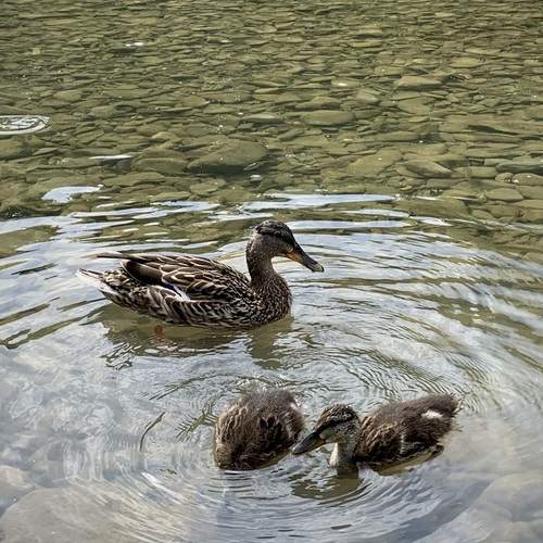 Фотография #13168082