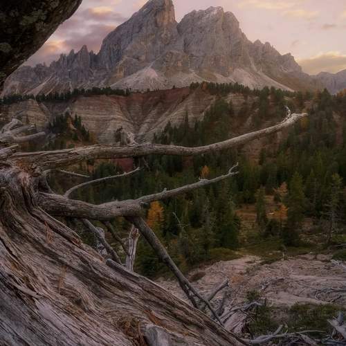 Photo #13168223