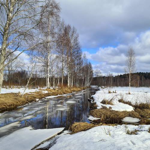 Photo #13168239
