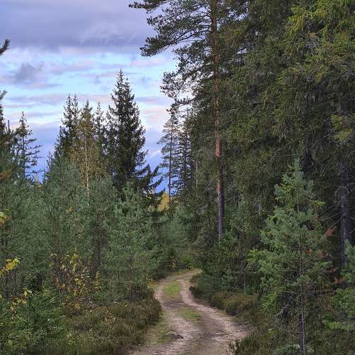 Photo #13168241