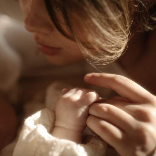 Photo #13168261