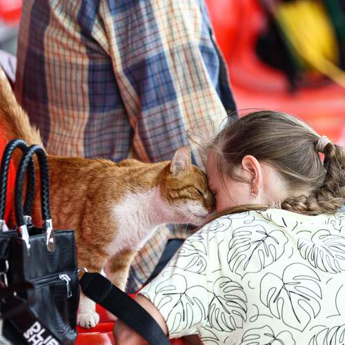 Photo #13168356