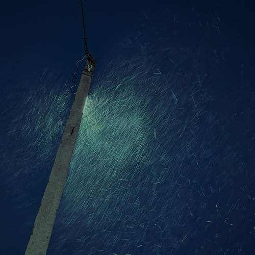 Photo #13168601